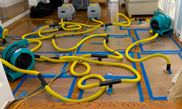 Professional Storm Water Damage Restoration technician working in Birmingham, NJ